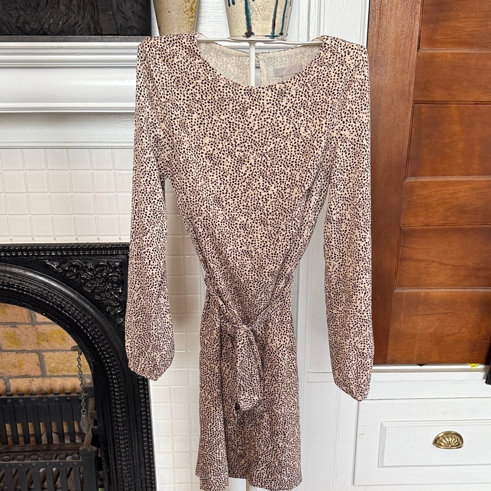 H and M Leopard Print‎ Long Sleeve Dress- worn once